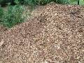 Mulch - Euci 